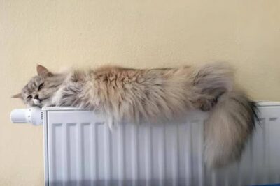 Radiators