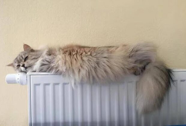 Radiators