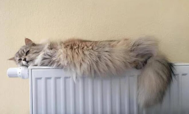 Radiators